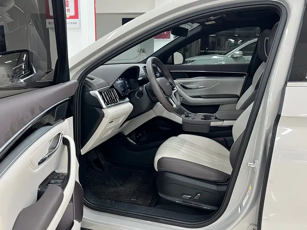 BYD PLUS New Energy — фото 4