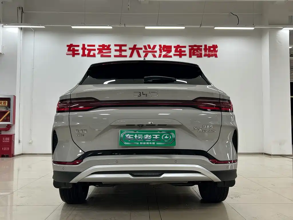 BYD PLUS New Energy — фото 8