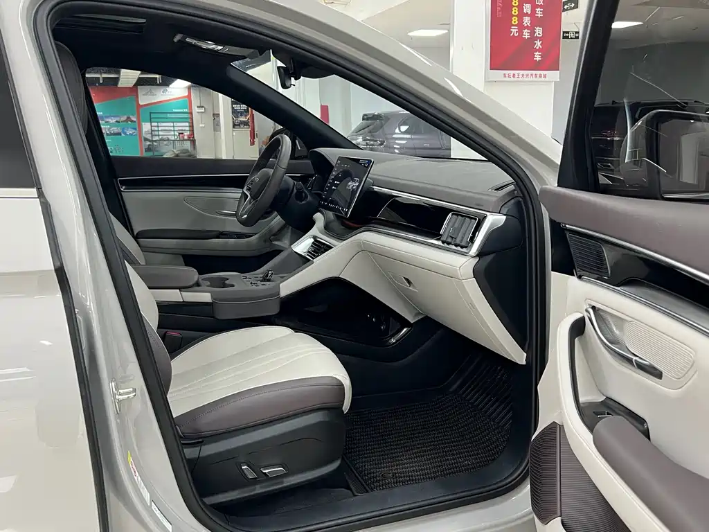 BYD PLUS New Energy — фото 10