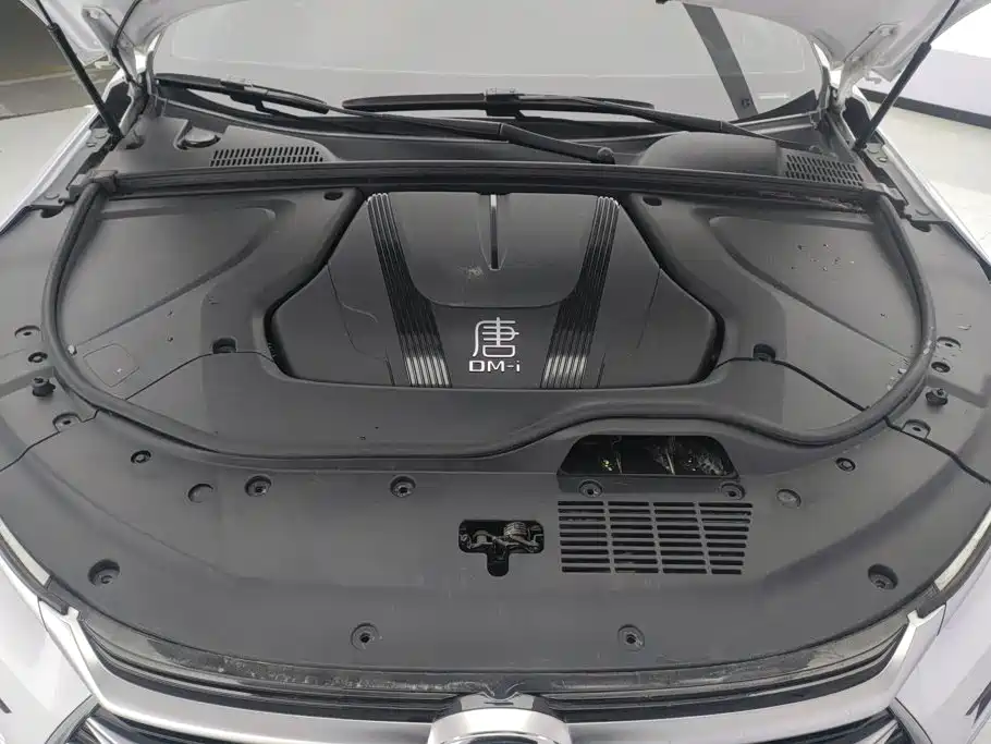 BYD Tang New Energy — фото 10