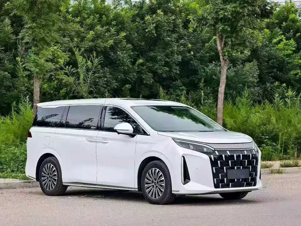 BYD M9 — фото 3