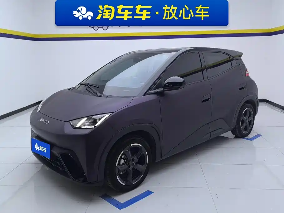BYD Seagull