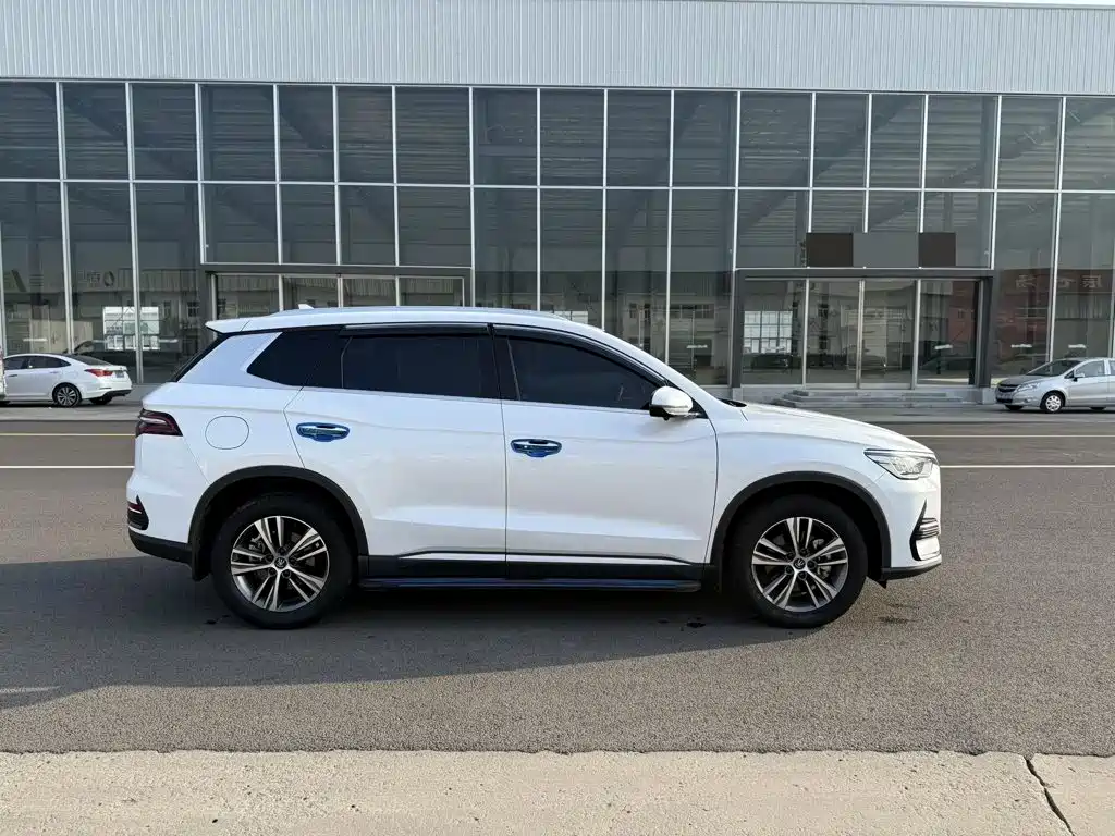 BYD Pro New Energy — фото 4