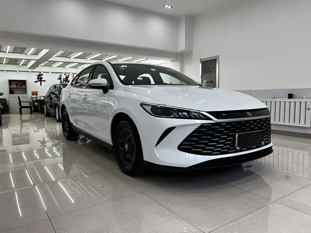 BYD Qin PLUS — фото 3