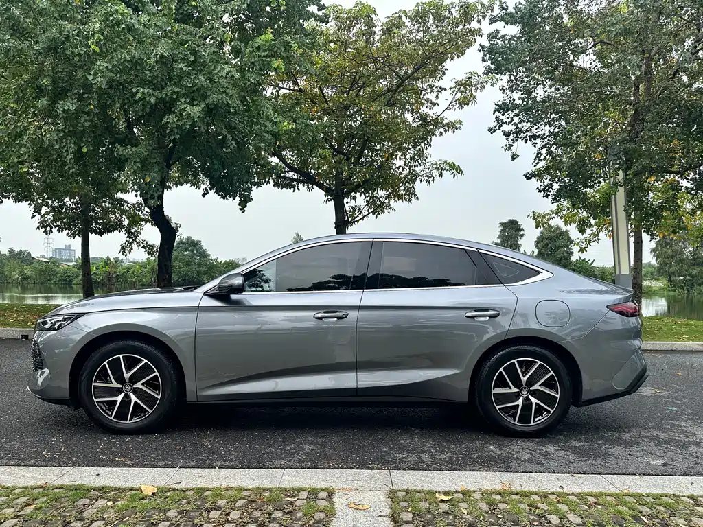 BYD Qin L — фото 5