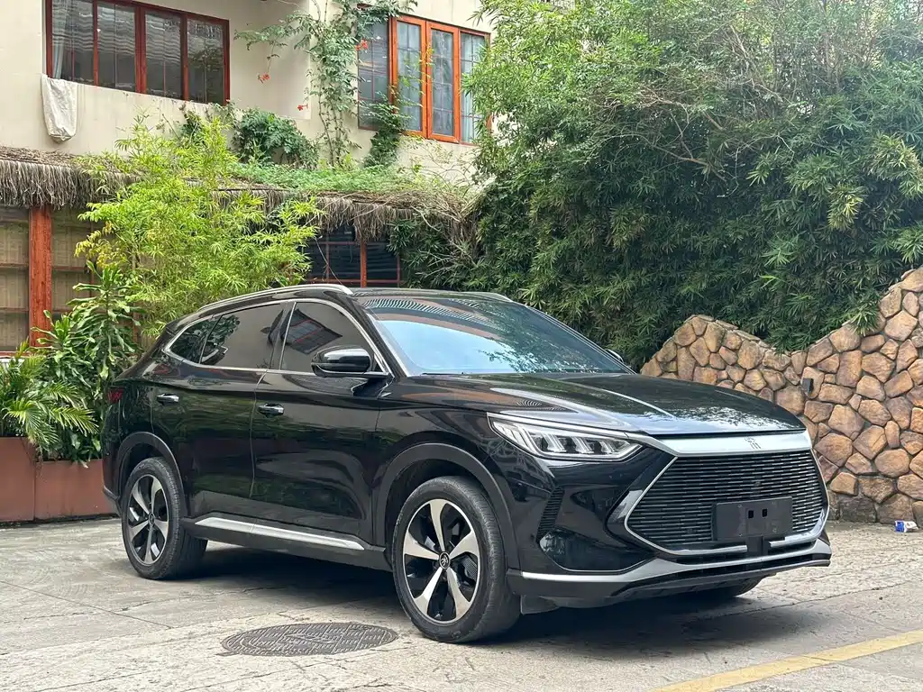 BYD PLUS New Energy — фото 3