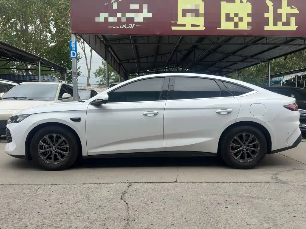 BYD Qin L — фото 3