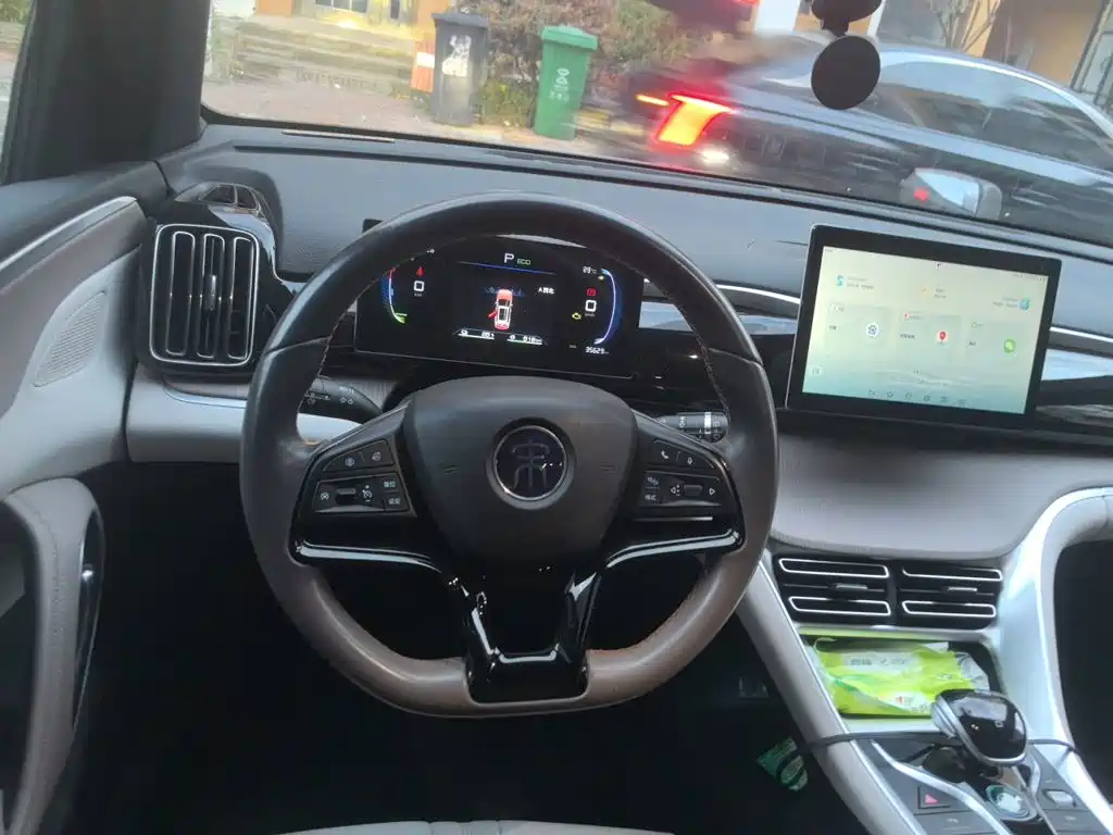 BYD Pro New Energy — фото 6