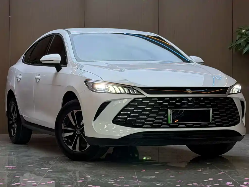 BYD Qin PLUS — фото 3