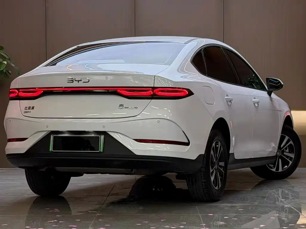 BYD Qin PLUS — фото 6