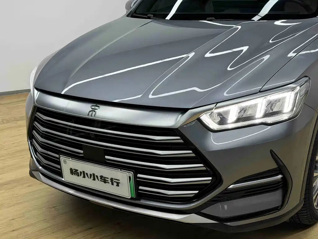 BYD Pro New Energy — фото 3