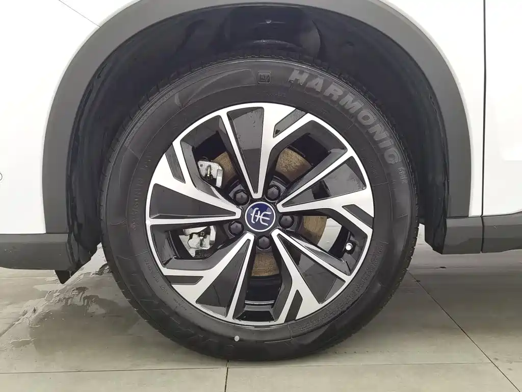 BYD Pro New Energy — фото 17