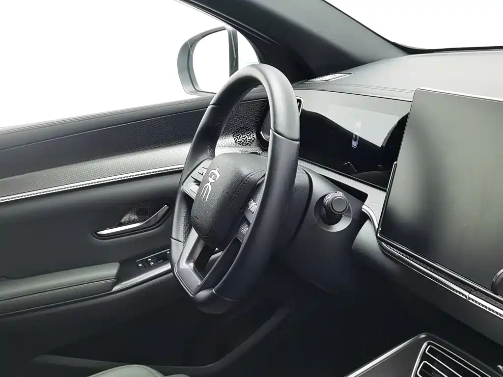 BYD Pro New Energy — фото 22