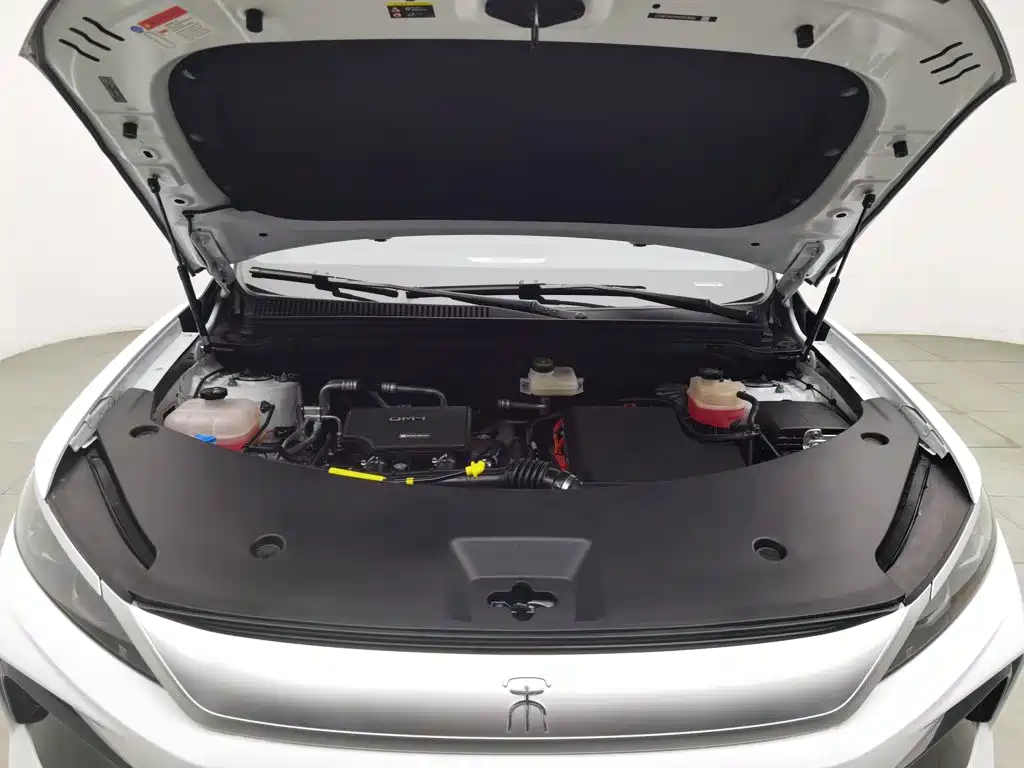 BYD Pro New Energy — фото 6