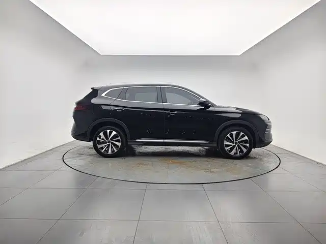 BYD PLUS New Energy — фото 3