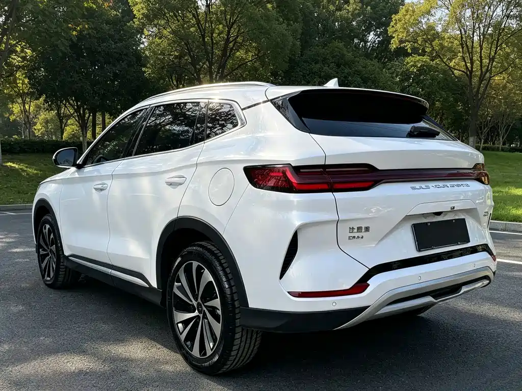 BYD PLUS New Energy — фото 4