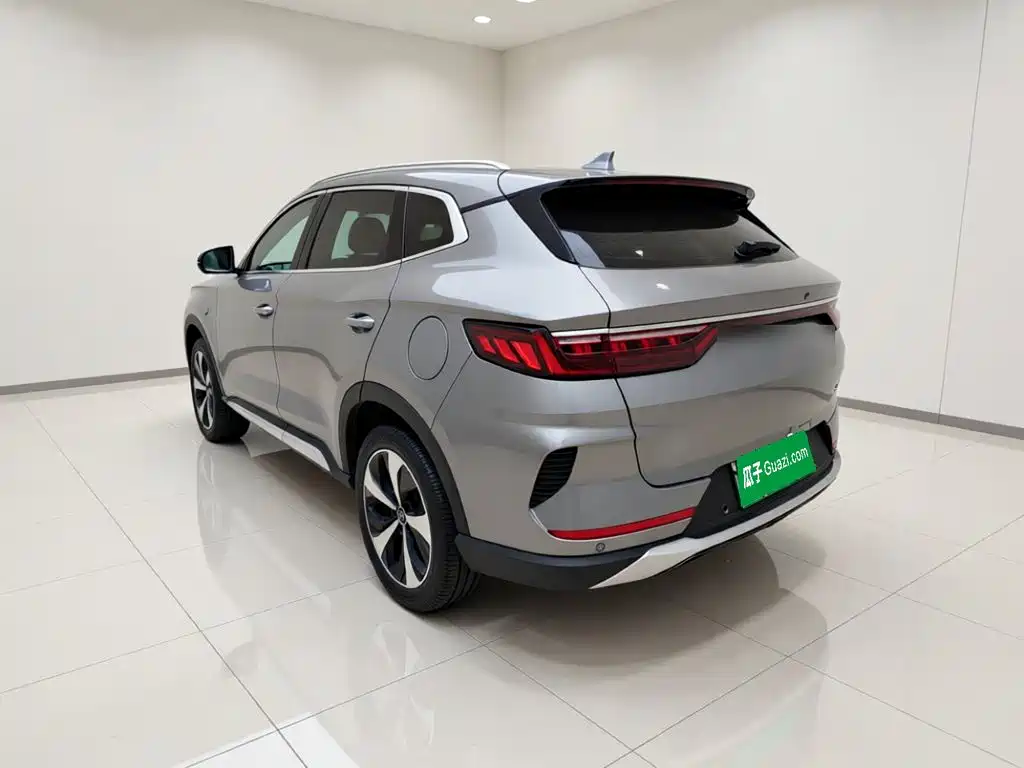 BYD PLUS New Energy — фото 4