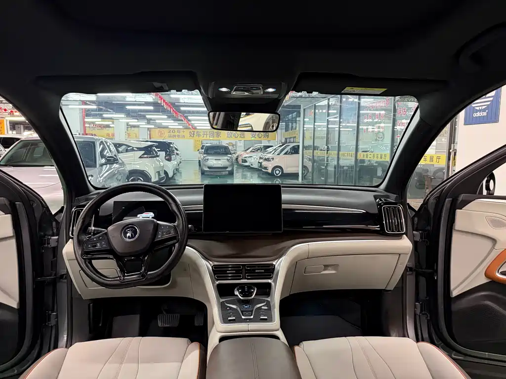 BYD Pro New Energy — фото 6