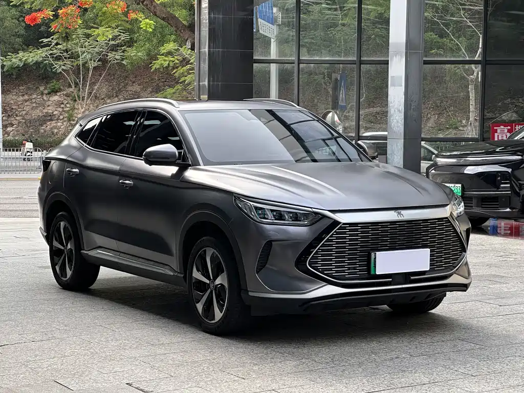 BYD PLUS New Energy — фото 3