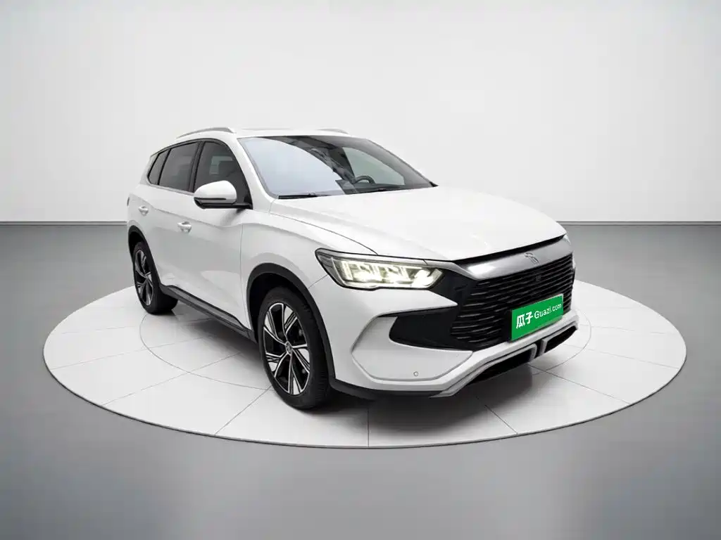 BYD Pro New Energy — фото 3