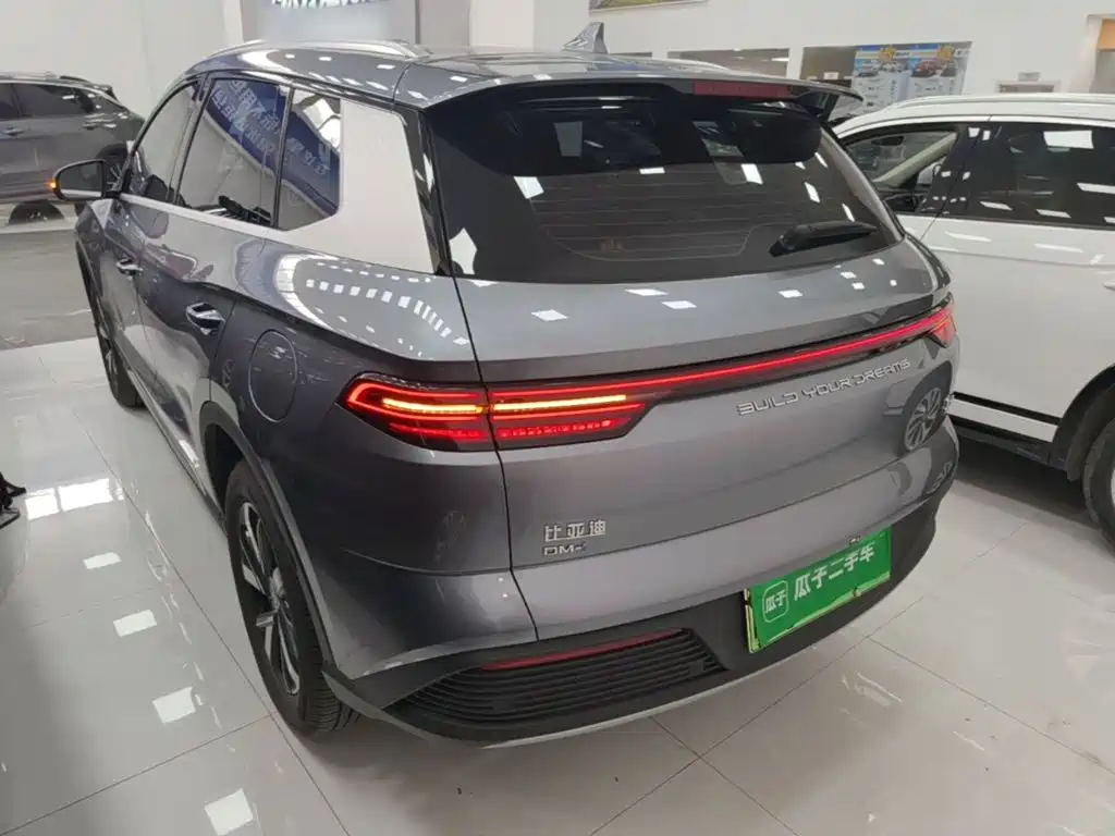 BYD Pro New Energy — фото 5