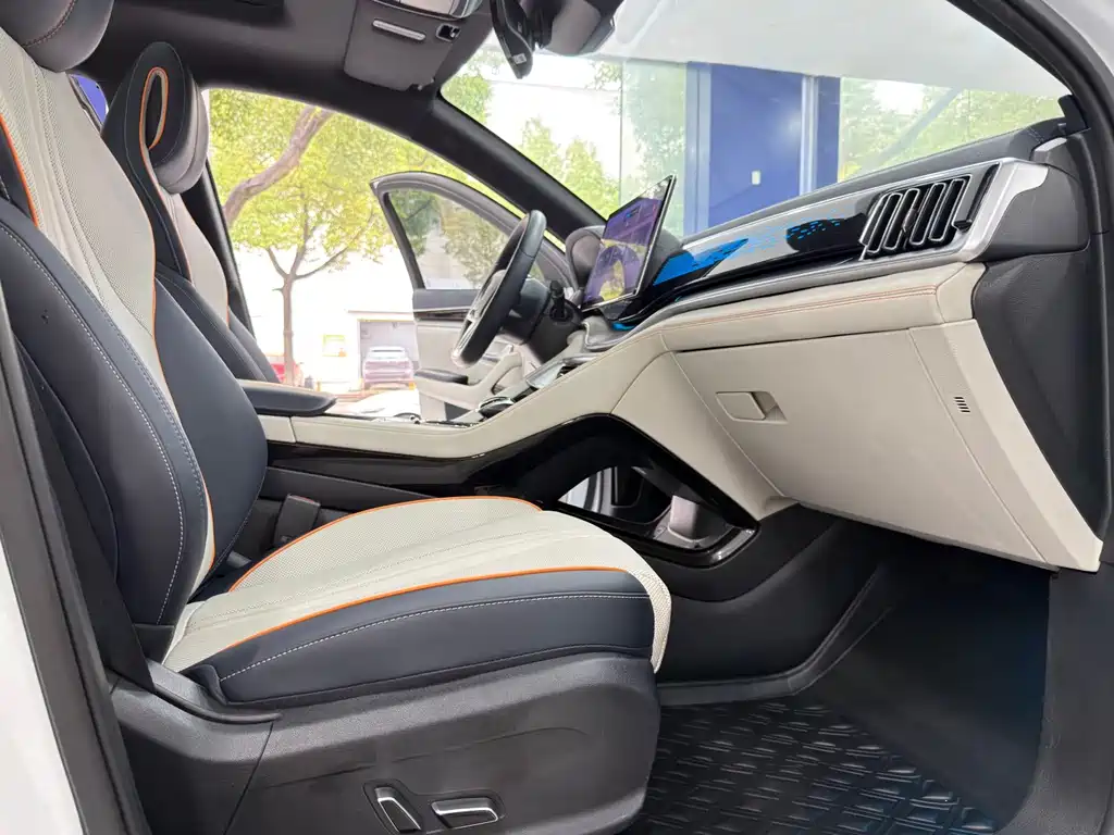 BYD PLUS New Energy — фото 13