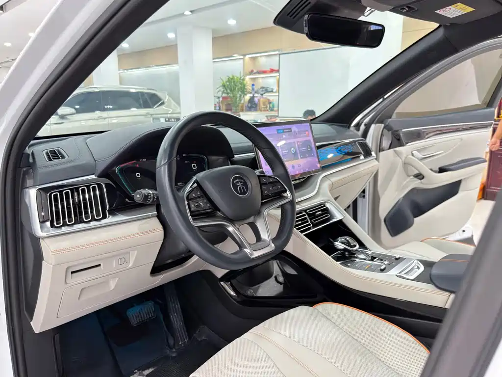 BYD PLUS New Energy — фото 4