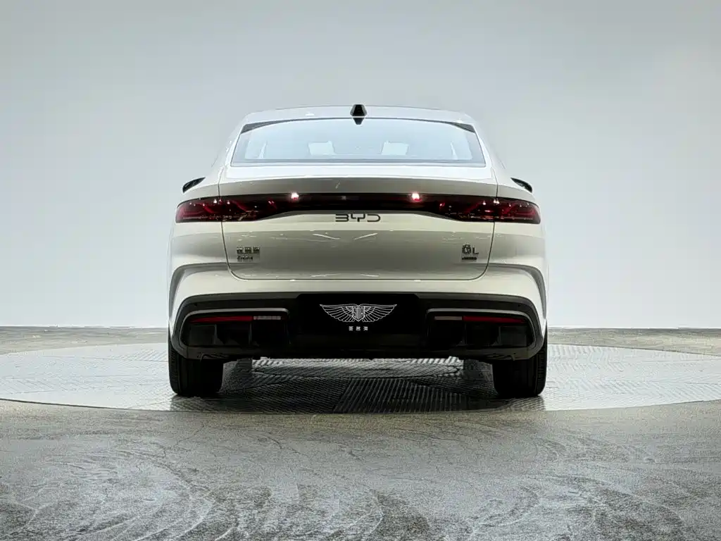 BYD Qin L — фото 3