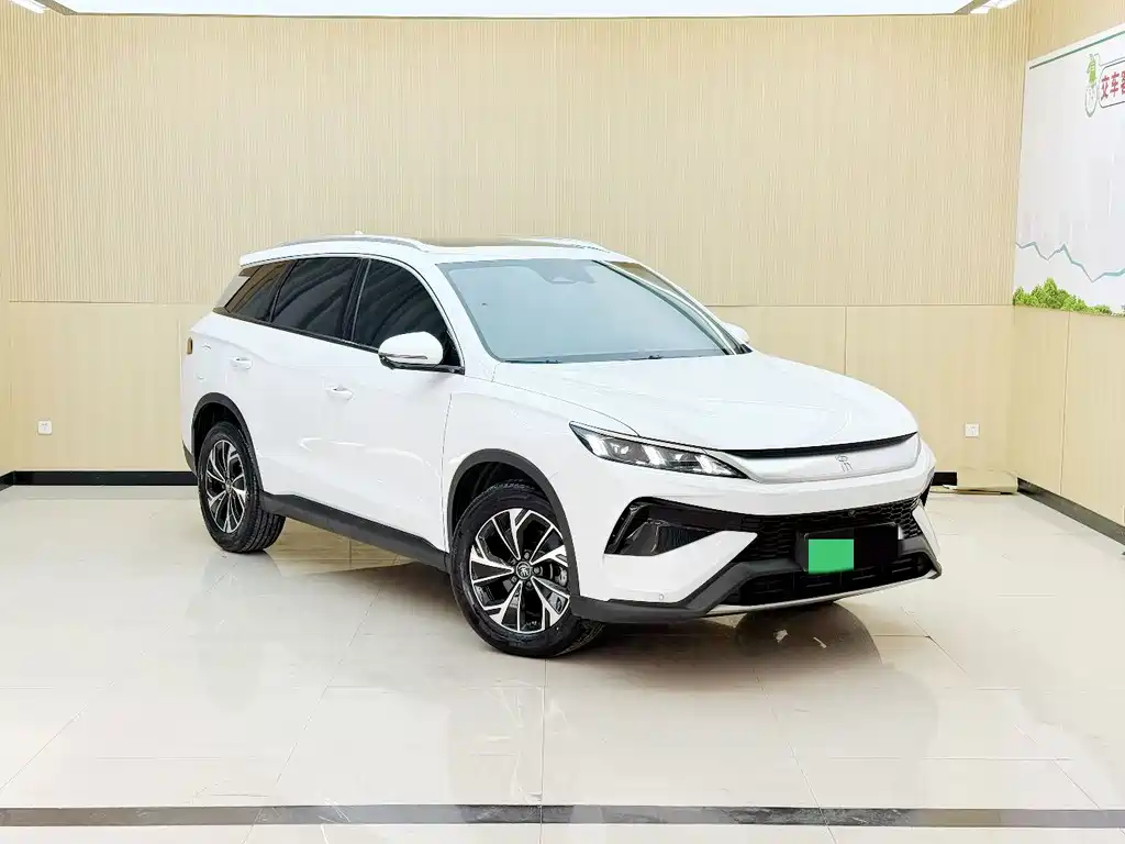 BYD Pro New Energy — фото 3