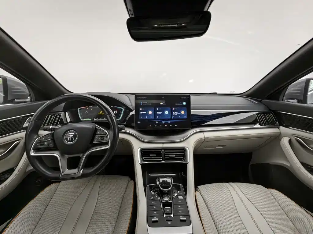 BYD PLUS New Energy — фото 5