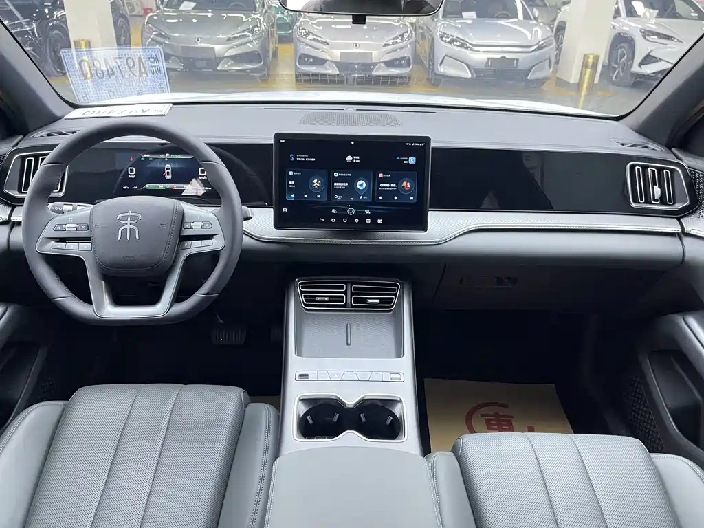 BYD Pro New Energy — фото 6