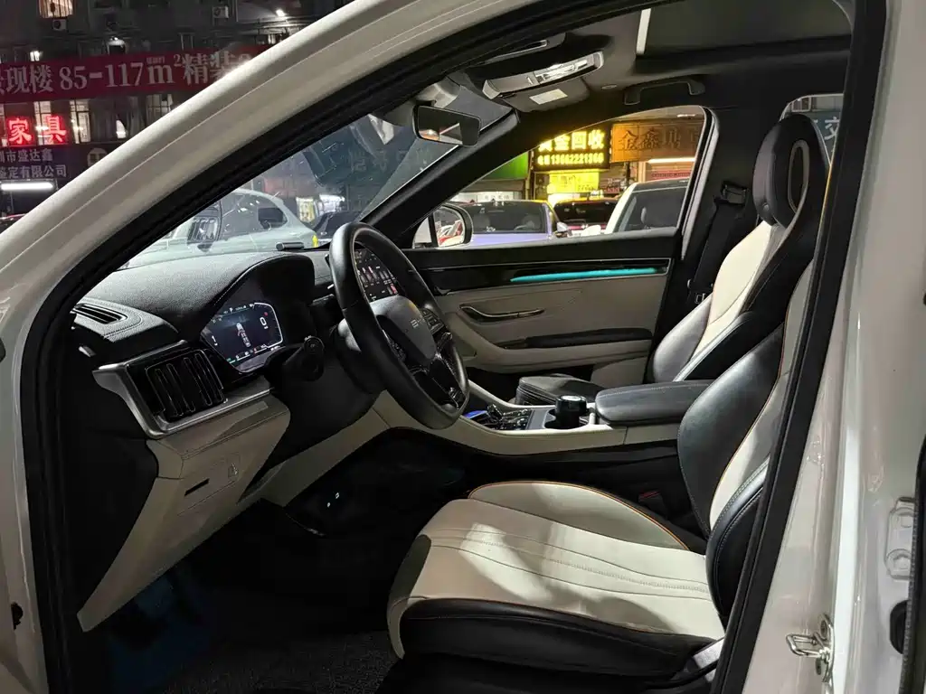 BYD PLUS New Energy — фото 5