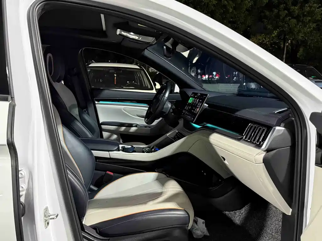 BYD PLUS New Energy — фото 8