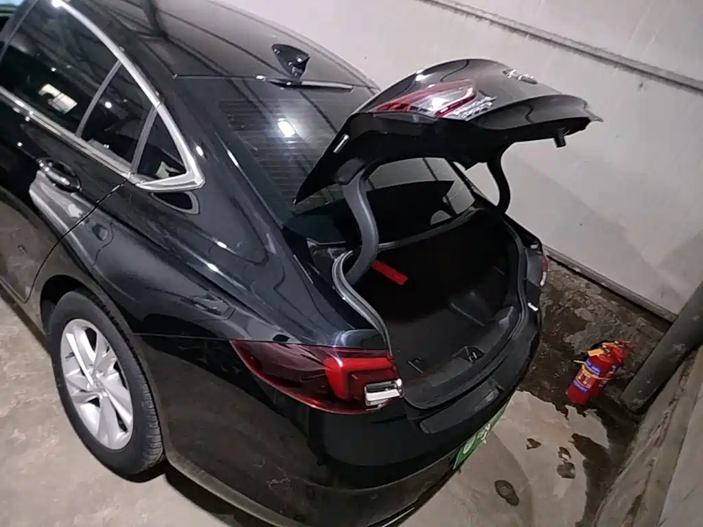 Buick Regal — фото 19