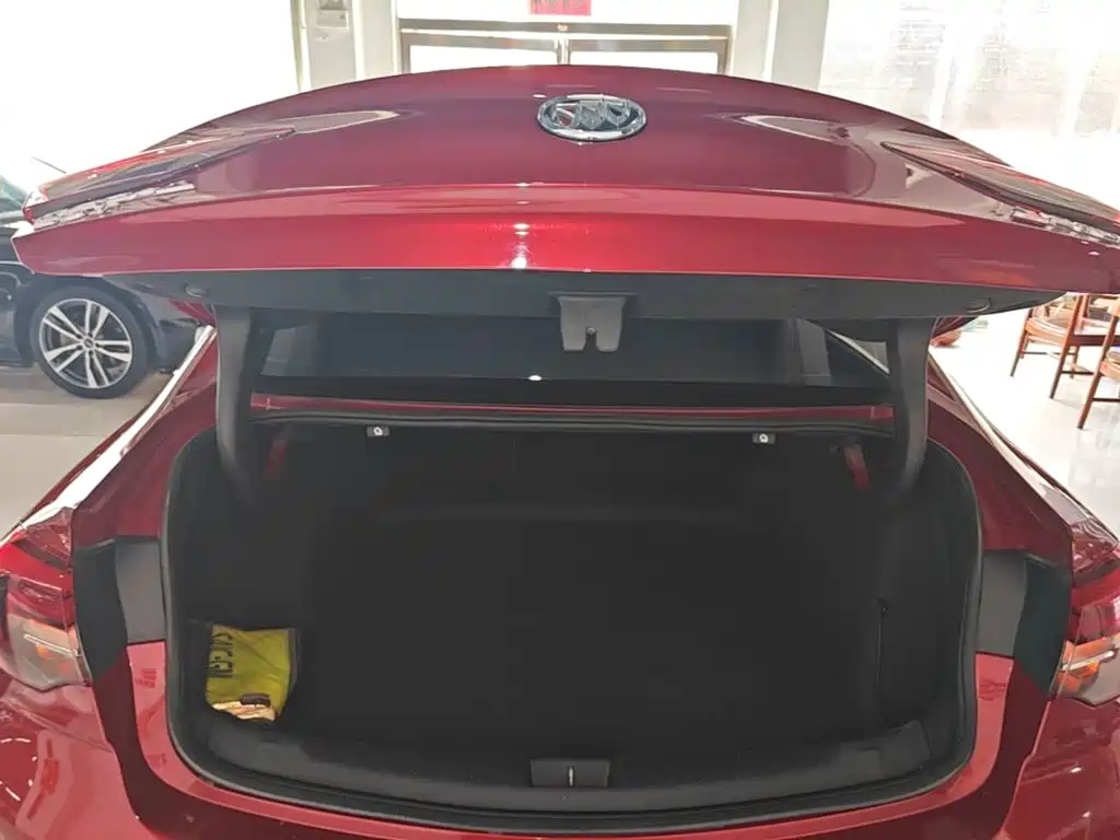 Buick Regal — фото 19