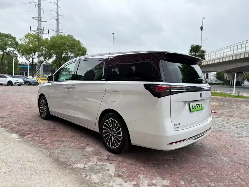 Buick GL8 Hybrid — фото 8