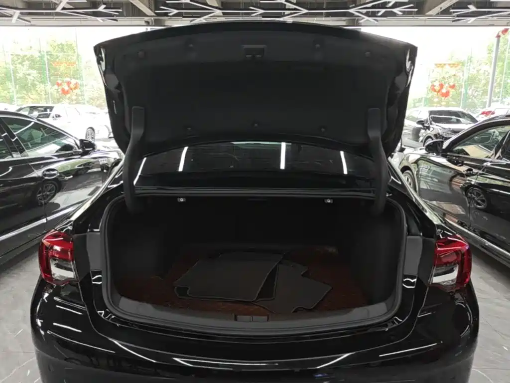 Buick Regal — фото 19