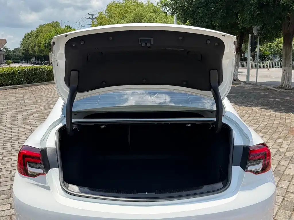 Buick Regal — фото 15