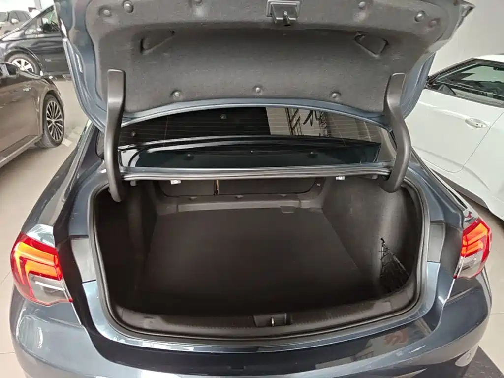 Buick Regal — фото 19