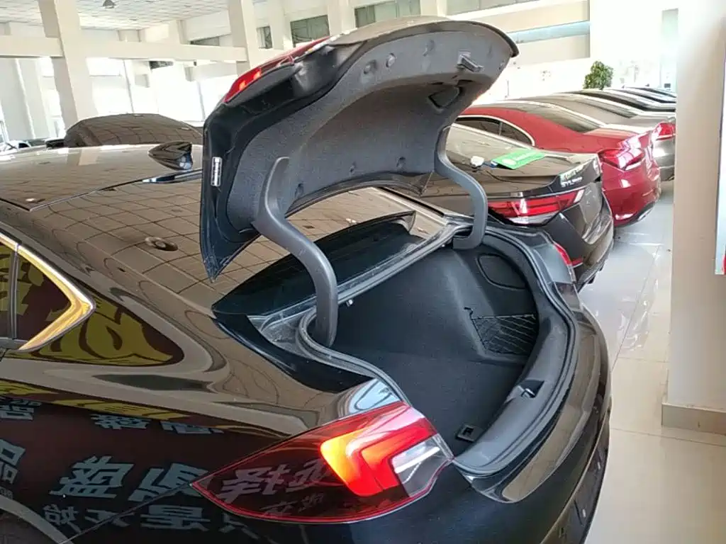 Buick Regal — фото 19