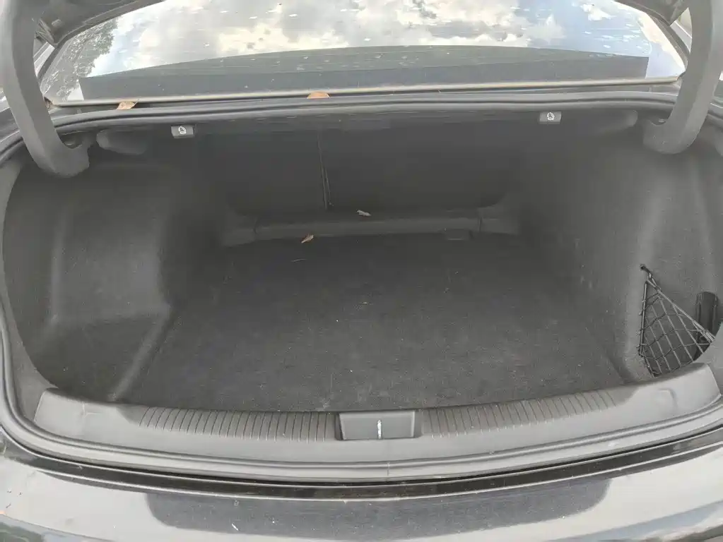 Buick Regal — фото 11