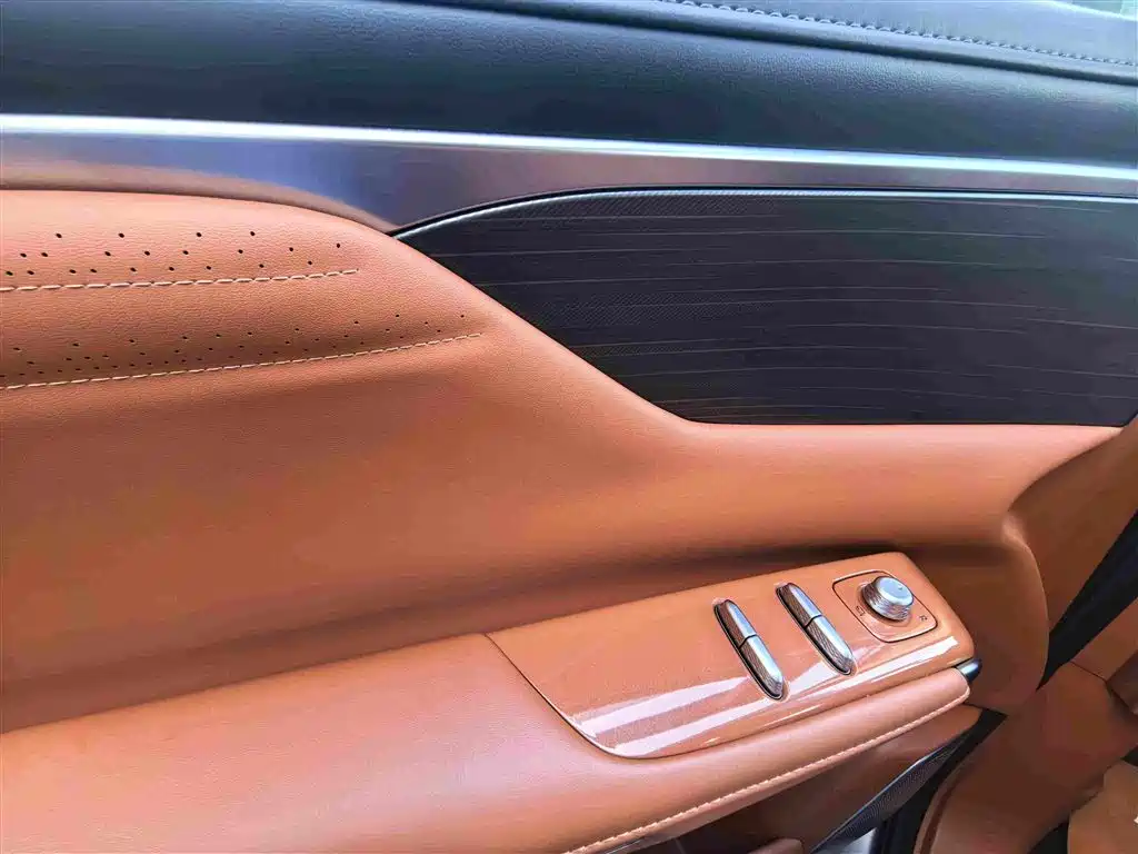 Buick Electra Encasa — фото 11