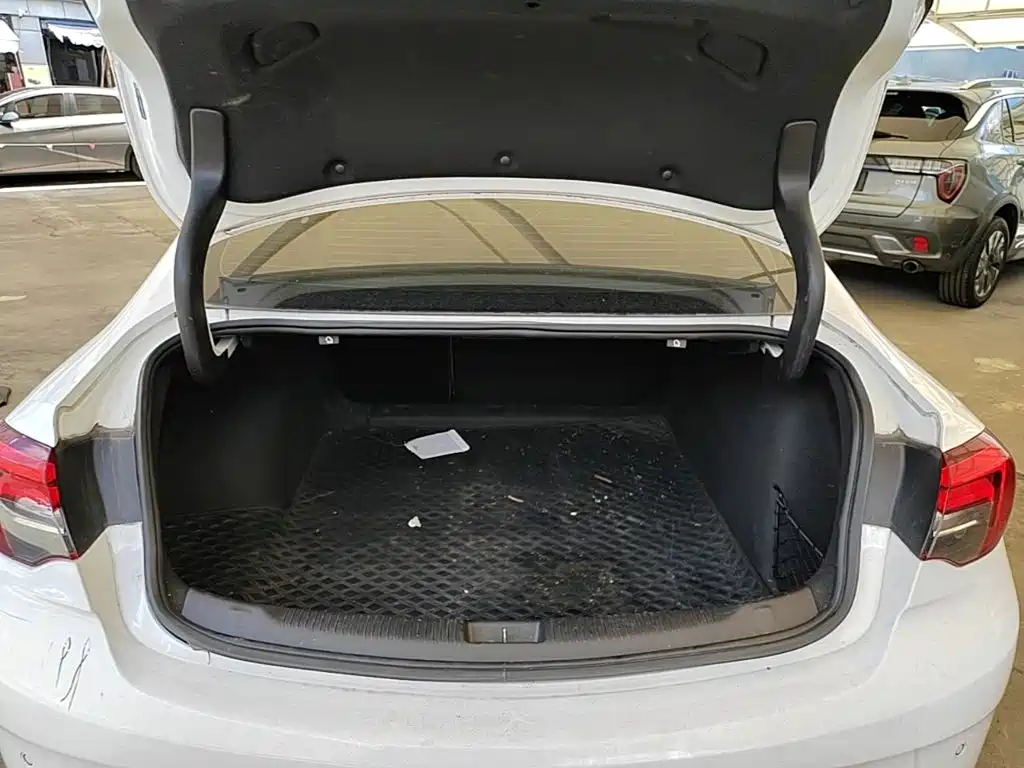Buick Regal — фото 19