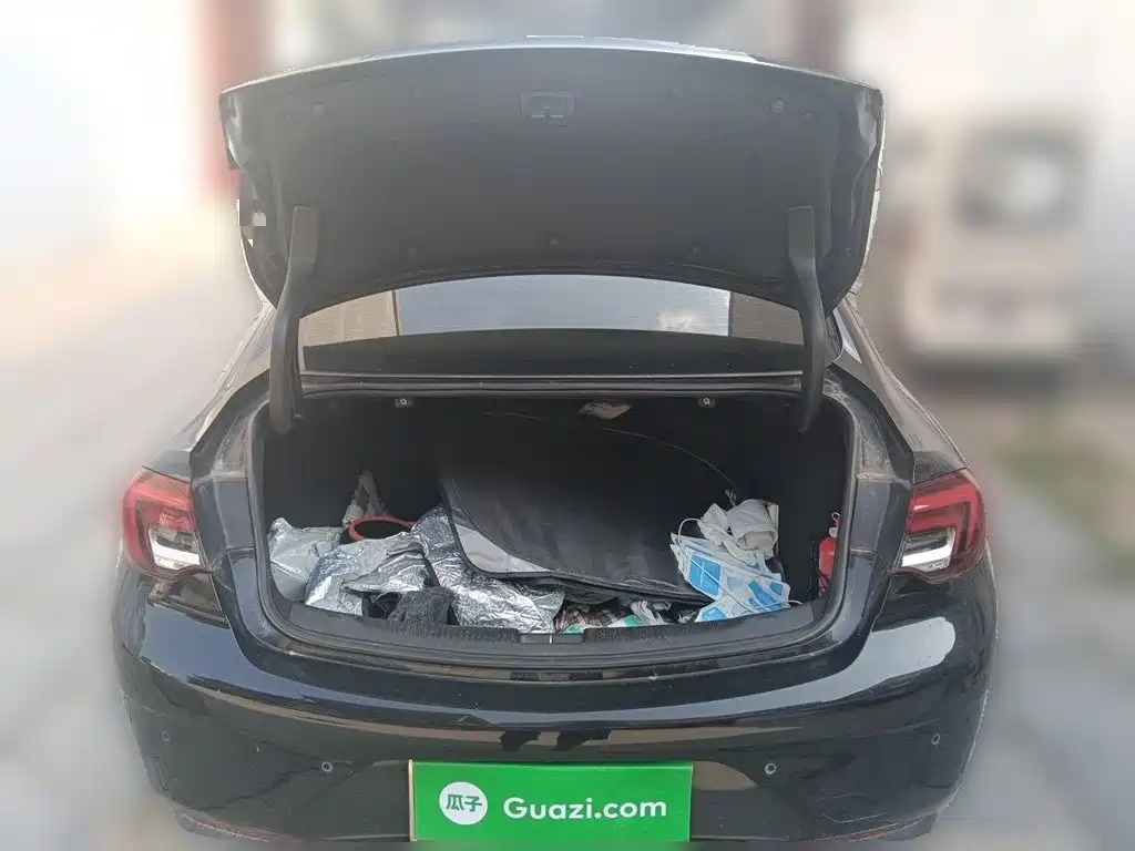 Buick Regal — фото 10