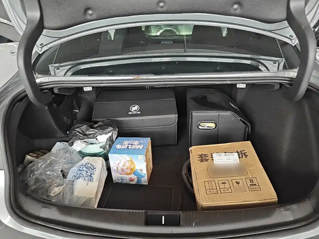 Buick Regal — фото 19