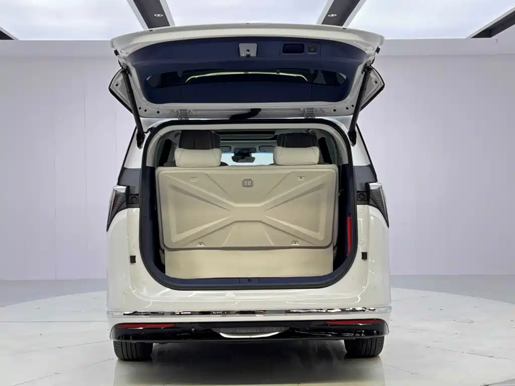 Buick GL8 Hybrid — фото 9