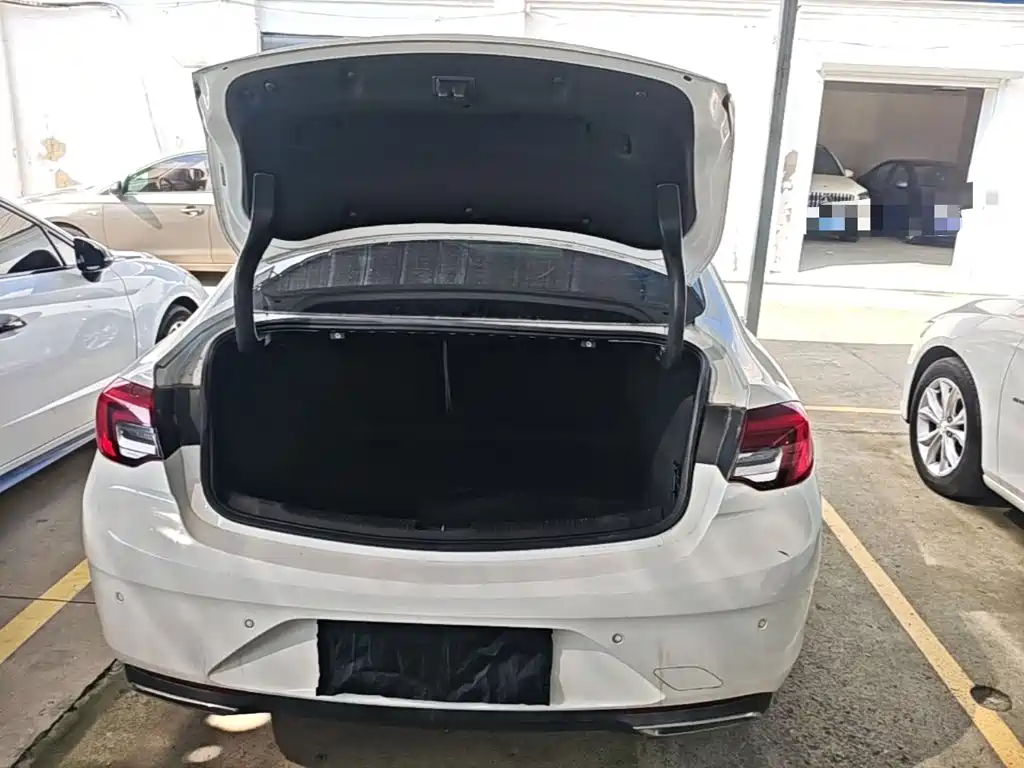 Buick Regal — фото 19