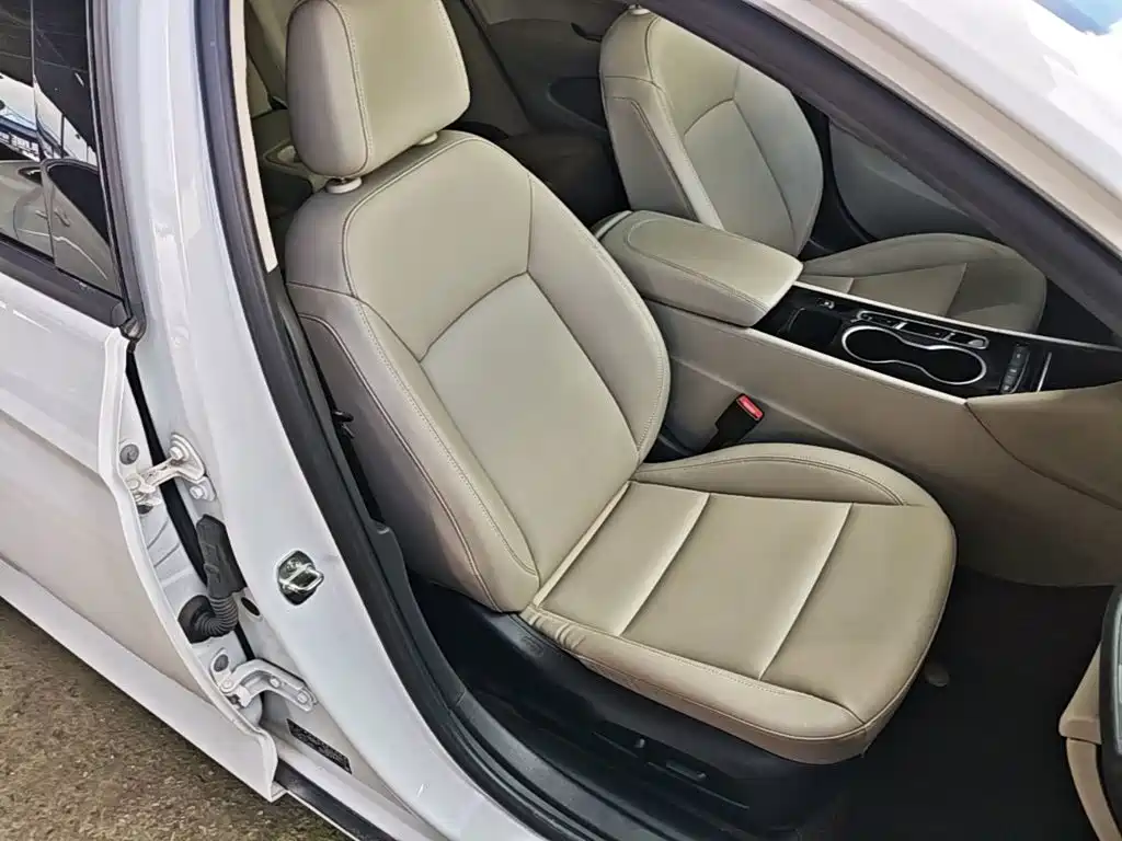 Buick Regal — фото 25