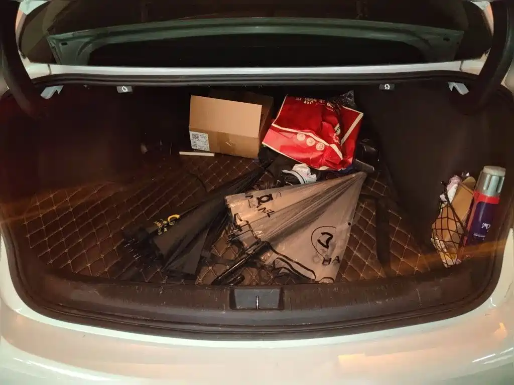Buick Regal — фото 10
