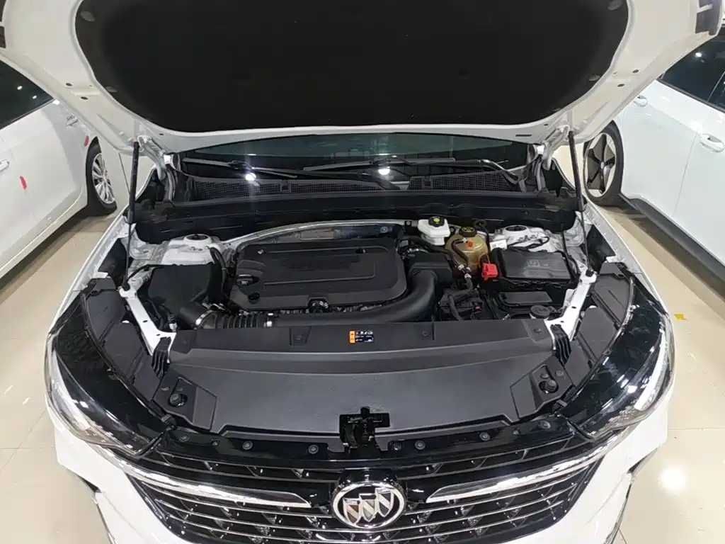 Buick Envision Plus — фото 20
